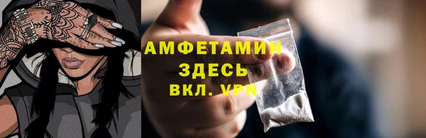 гашик Алексеевка
