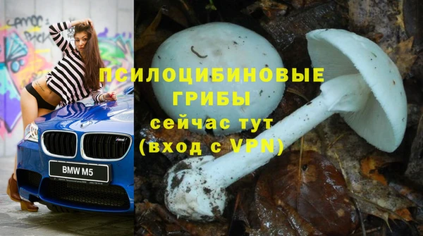 стаф Алзамай
