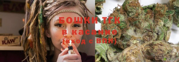гашик Алексеевка