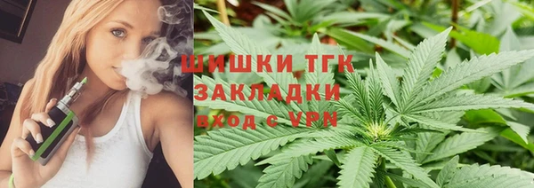 гашик Алексеевка